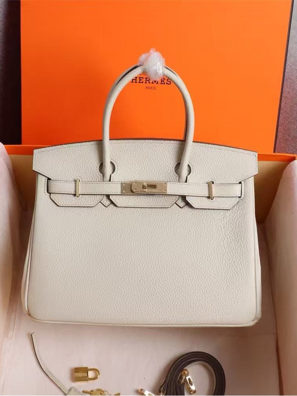 Hermes Birkin Bag 25